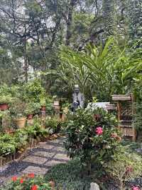 華南植物園拍照吸氧全攻略｜逃離城市計劃來啦