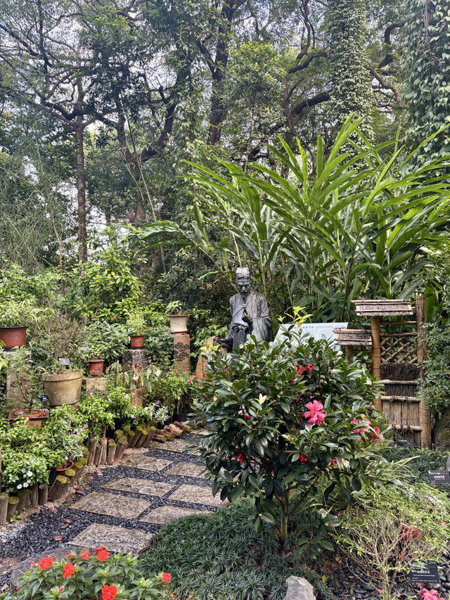 華南植物園拍照吸氧全攻略｜逃離城市計劃來啦