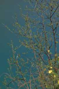 響水湖長城探秘