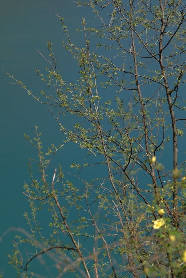 響水湖長城探秘 響水湖長城探秘
