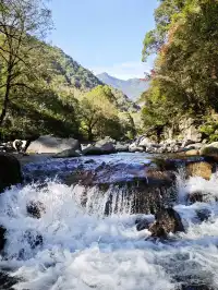 自駕分享: 武夷山國家公園一號風景道