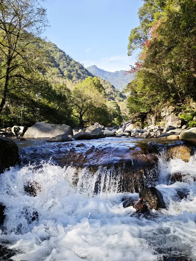 自駕分享: 武夷山國家公園一號風景道 自駕分享: 武夷山國家公園一號風景道
