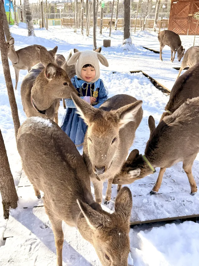 我宣佈長白山才是冬天親子遊的天花板