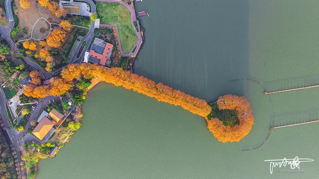 武漢秋天的「金鑰匙」被我找到了！