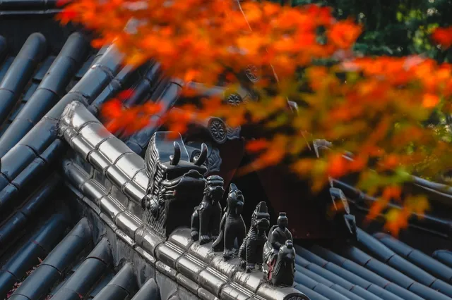 棲霞山 | 拍點不一樣的 棲霞山 | 拍點不一樣的