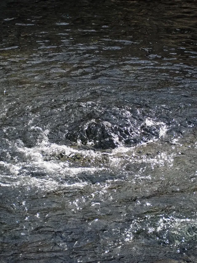 在太原晉祠，觸摸到了三千年的西周柏樹