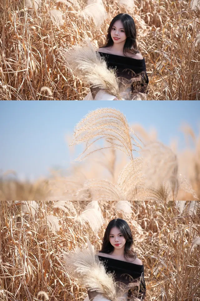 宜興｜城東梅林蘆葦蕩