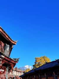 滇池&麗江|12月邂逅紅嘴鷗天堂&雪山古鎮