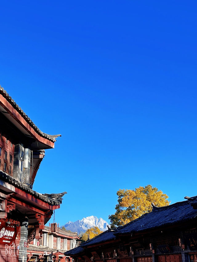 滇池&麗江|12月邂逅紅嘴鷗天堂&雪山古鎮 滇池&麗江|12月邂逅紅嘴鷗天堂&雪山古鎮