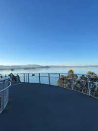 走進畫裡|滇池邊的樹與水與風都是自由的