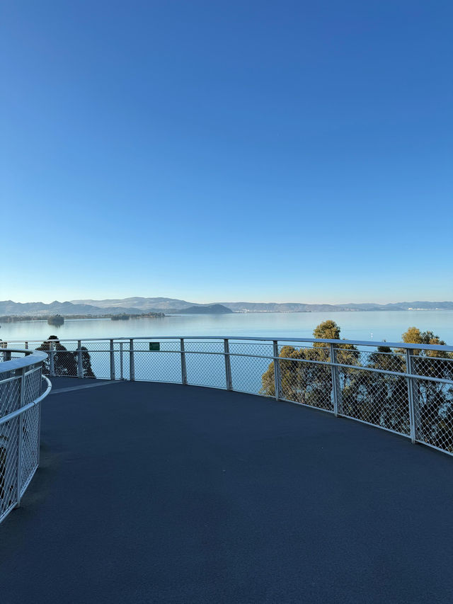 走進畫裡|滇池邊的樹與水與風都是自由的 走進畫裡|滇池邊的樹與水與風都是自由的