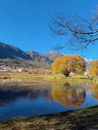 雪山下的藝術暴擊！阿美澤這趟打卡太值了