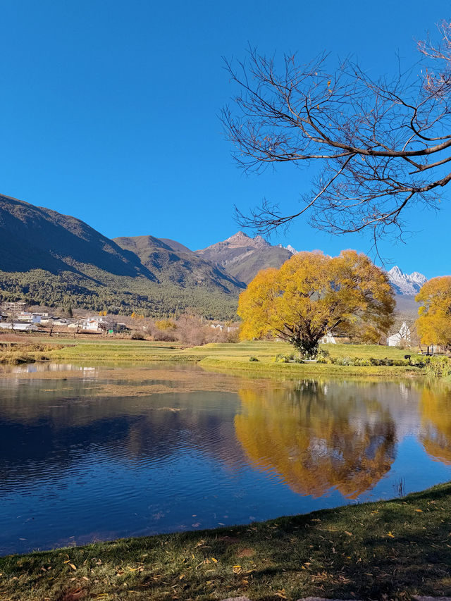 雪山下的藝術暴擊！阿美澤這趟打卡太值了