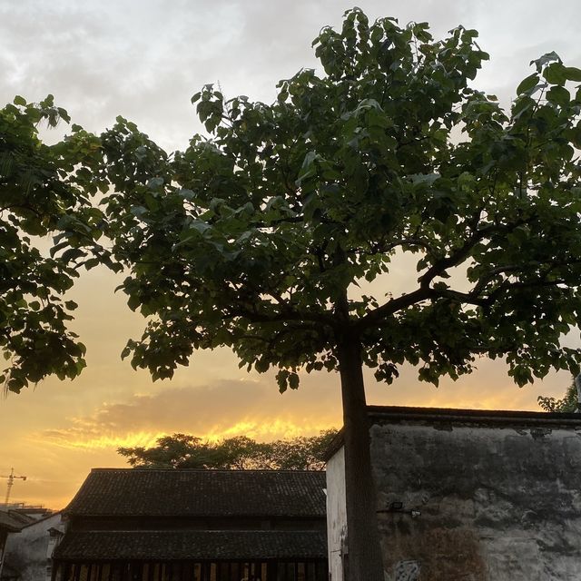 江南水鄉烏鎮 江南水鄉烏鎮