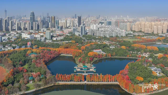 快衝!聽濤的彩林已經美到詞窮! 快衝!聽濤的彩林已經美到詞窮!