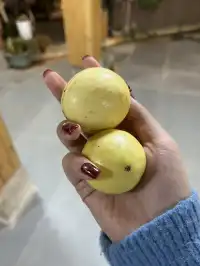 景邁山放空的48小時