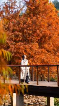 住對酒店,連散步都藏著極致浪漫