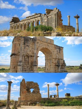 Hidden Roman Empire｜African Grasslands Meet Italian Column Forest