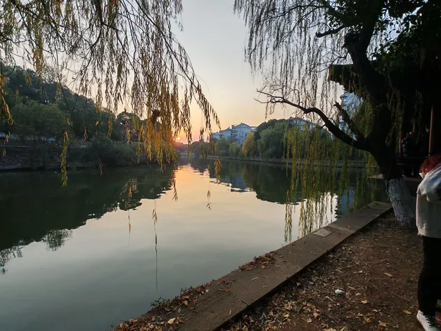滿城盡飛黃金葉，紹興古城河清園秋色正迷人