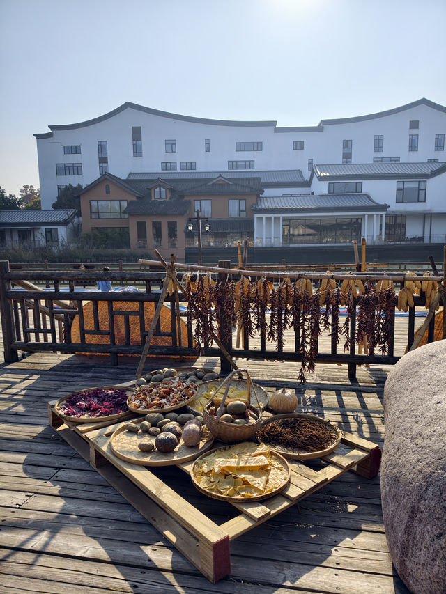 烏村(景色篇)照片太多,20張都不夠發 烏村(景色篇)照片太多,20張都不夠發