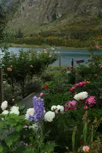 誰懂啊!在新西蘭坐上蒸汽船,像闖進童話世界