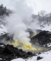 12月14日日本受罪已回,說點難聽的大實話