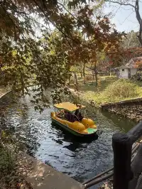 這風景好美,真的好想讓所有人🫘看到