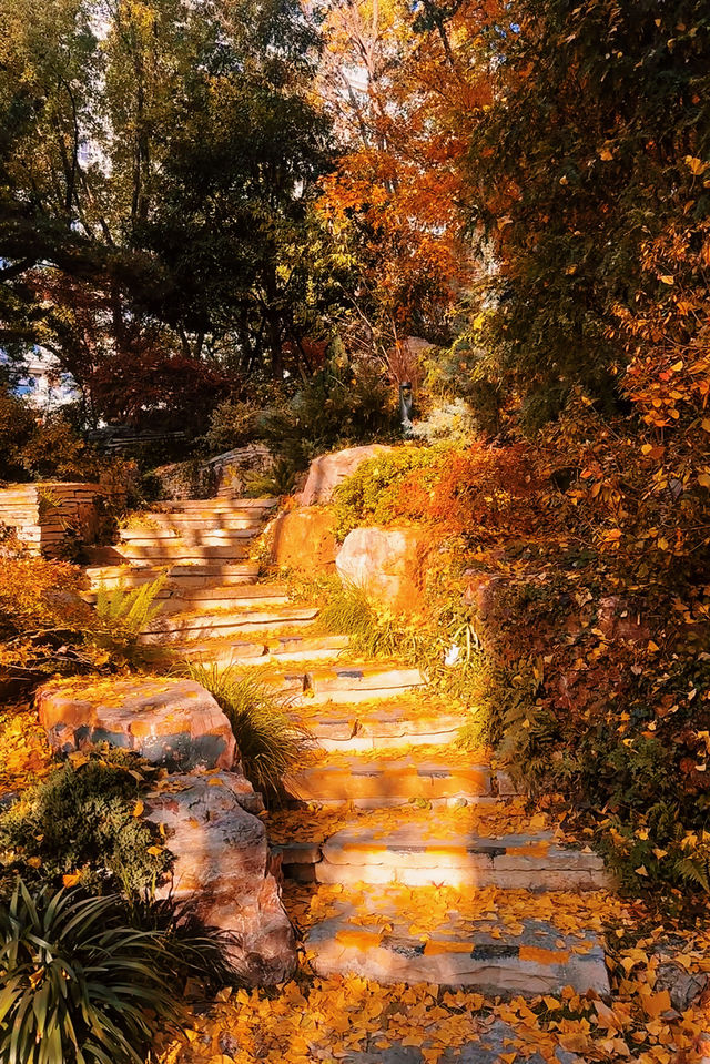 魔都賞秋封神路線!0元拍出大片感 魔都賞秋封神路線!0元拍出大片感