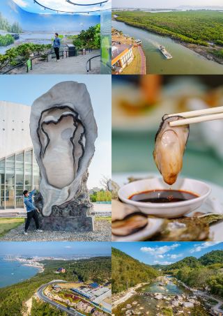 Yangxi 48 Hours: Savoring the Splendor and Elegance of Oysters in Western Guangdong