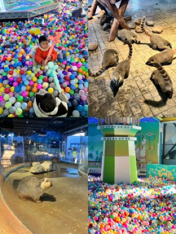 ที่พักที่ห้ามพลาดสำหรับคนที่ขับรถไปคุนหมิง! โรงแรมเฟิงปัง + ร้านอาหารไท่ซวงจิน = ที่พักและอาหารชั้นเลิศสองเท่า!