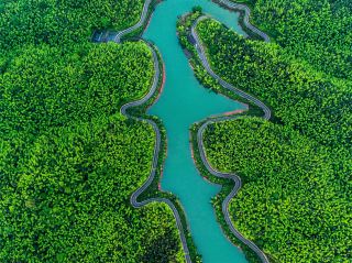 ดอกไม้ฤดูใบไม้ผลิเบ่งบานในมณฑลกุ้ยโจว ดอกซากุระสีชมพูบานสะพรั่งในเทือกเขาอู่หลิง และทะเลหมอกในเทือกเขาอู่เมิ่ง วาดภาพทิวทัศน์ฤดูใบไม้ผลิที่สวยงาม