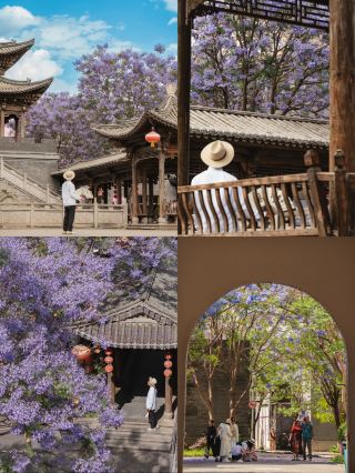Kunming Jacaranda Secret Realm｜The Ultimate Romance of Shangheyuan Chinese Architecture and Purple Flower Sea