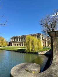 Spring Vibes at Cambridge: Strolling Through Uni Magic 🌸🏛️