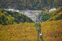 北海道11天|從紅葉纜車走到百萬夜景