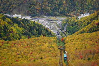 北海道11天|從紅葉纜車走到百萬夜景