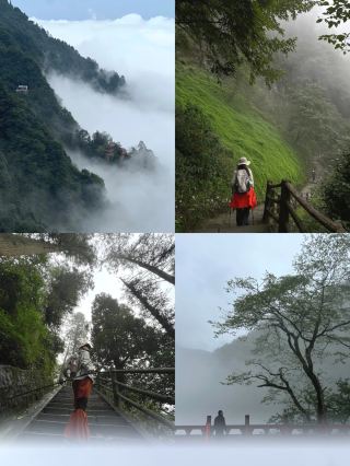 峨眉山ハイキング｜仙境を歩き、美しい秘境を発見！Ø