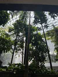 這次在攜程預訂的新加坡馬來西亞8天親子家庭之旅，整體體驗超級滿意，全程舒心又治癒，是一次完全超出預期