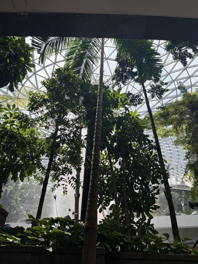 這次在攜程預訂的新加坡馬來西亞8天親子家庭之旅，整體體驗超級滿意，全程舒心又治癒，是一次完全超出預期