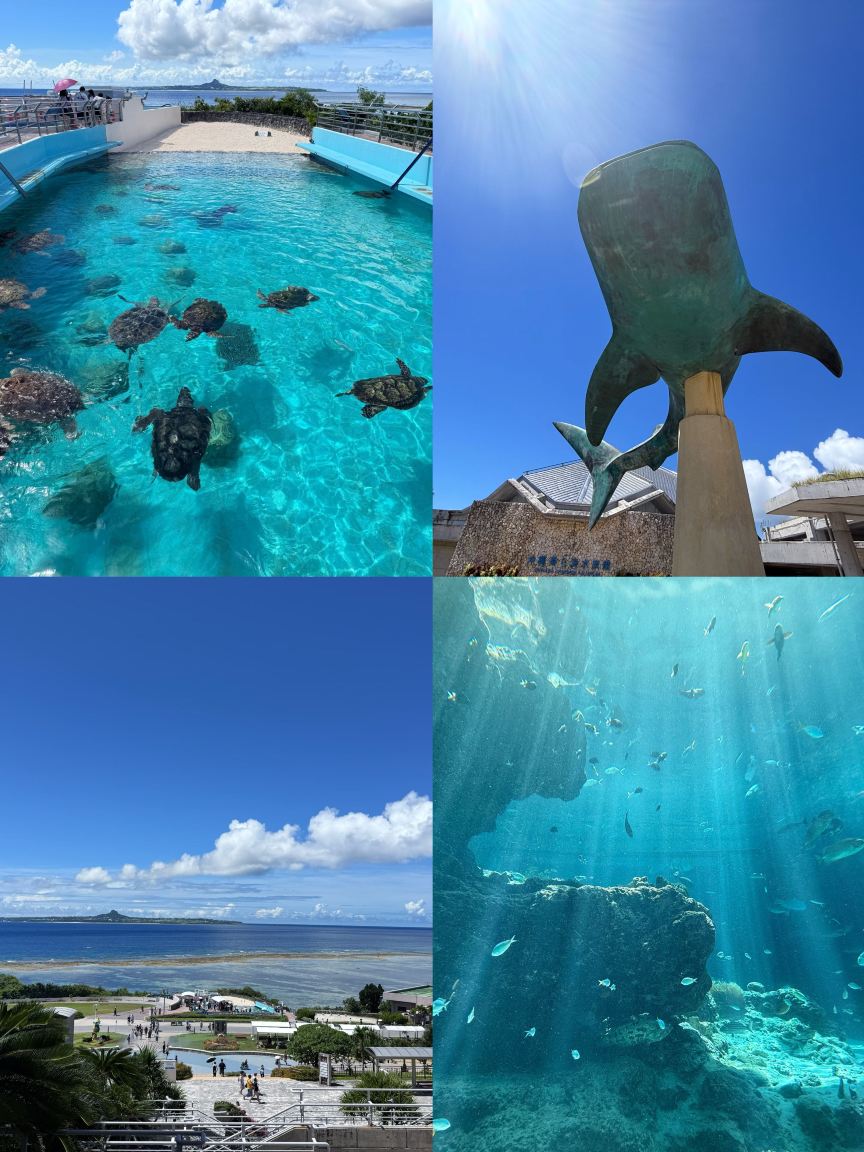 日本5日間｜連休旅行ガイド | Trip.com 本部町