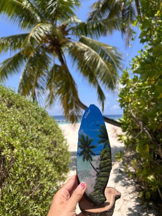 Emerald Maldives 夢幻蜜月之旅：超乎想像的難忘體驗