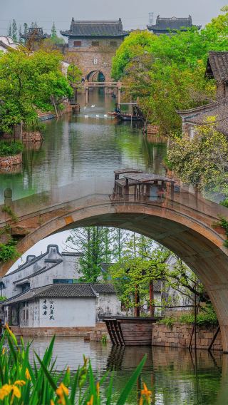 Haining Yanguan Ancient Town Ultimate Guide | Stroll through ancient streets and witness the Qiantang River tidal bore
