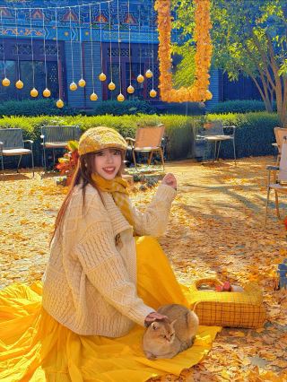 โรงแรม X สถานีเสิ่นหยาง | ไปสัมผัสความโรแมนติกของใบแปะก๊วยที่ทงตา (Dongta)