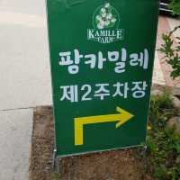 수국이 아름다운 팜카밀레