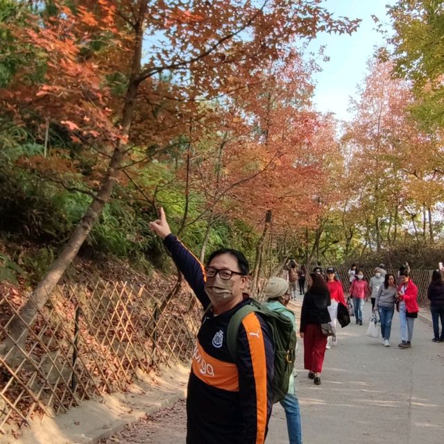 紅叶斜落我心寂寞時!