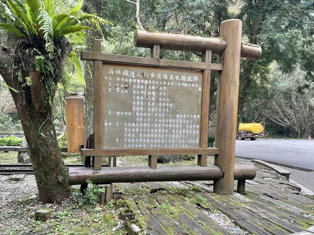 沒落的林場-林田山