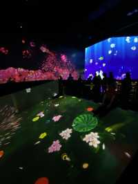 澳門其中一個最火紅的景點😍 #teamLab 無買錯飛～^_^入面好靚又好玩！