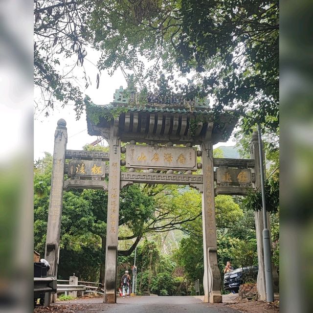 莫說青山多障礙~風也急風也勁😂