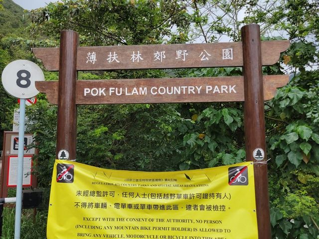 香港僅餘的獨特風貌 香港僅餘的獨特風貌