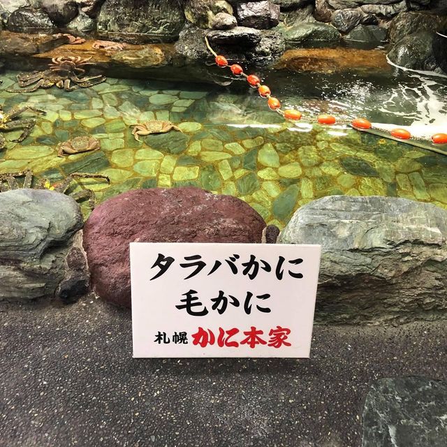 福岡分店札幌螃蟹本家‼️‼️日本🗾另一人氣蟹店😍