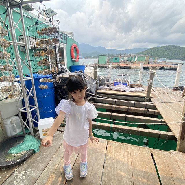本地海排 x 珍珠養殖場 🐚 